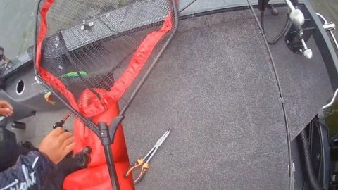 PAL 2023 1 Этап. Как это было