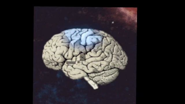 Удивительные сбои в работе мозга смотреть онлайн