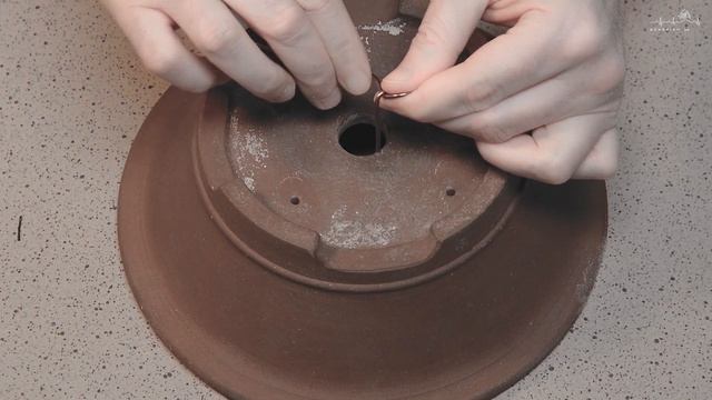Подготовка контейнера для пересадки бонсай | Bonsai pot preparation for repotting a tree. смотреть онлайн