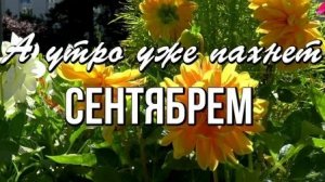 Прощай лето,здравствуй осень!