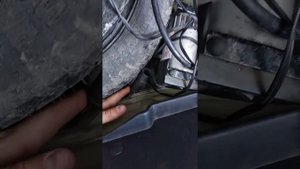 Стук найден Церато 2