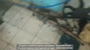 рено кангу замена тормозной трубки