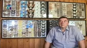 Александр Проханов,  писатель, сценарист, публицист, журналист, общественный деятель