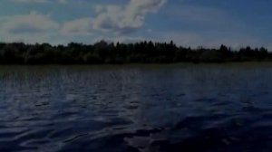 Озеро Воже, рыбалка в июне