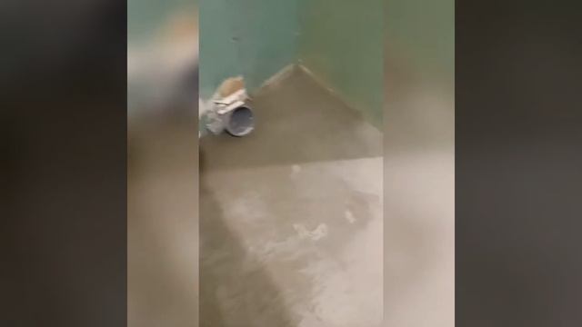 Бюджетный ремонт ванной в "хрущёвке"