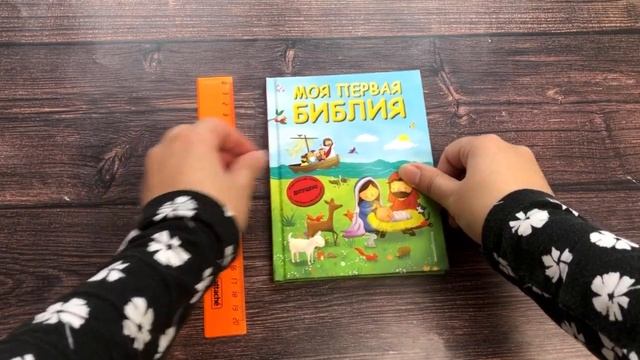 Моя первая Библия (ил. Г. Скотта) (мал.формат) смотреть онлайн