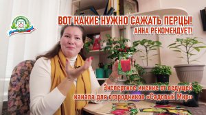 Перцы которые рекомендуют настоящие эксперты сада и огорода!