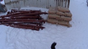 Дом из двух морских контейнеров. Начинаем стройку