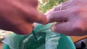 САМЫЕ КРАСИВЫЕ ГУРАМИ? ПОКУПКА МРАМОРНОГО ГУРАМИ!