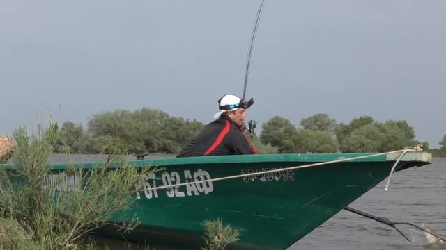 Жереховое безумство смотреть онлайн