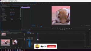 #Premiere #gif How to Create a Gif in Premiere Pro? CC \ Как создать Gif-анимацию в Adobe Premiere
