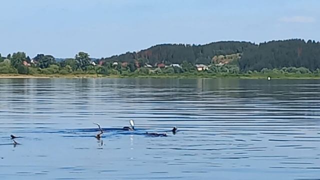 Подводная охота в Каме