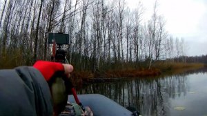 Рыбалка на озере КОСТИЧЕВО|Нижегородская обл.