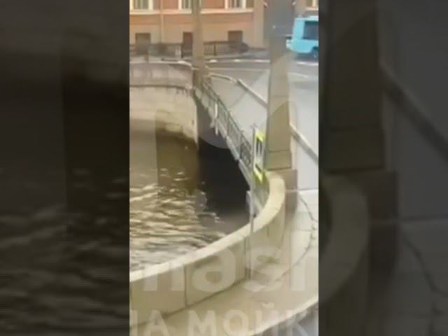 Момент падения Автобуса в питере смотреть онлайн