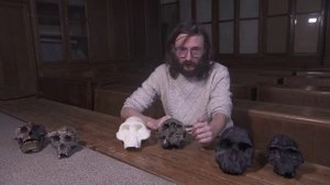 Австралопитеки не нашей эры. Рассказывает Станислав Дробышевский.