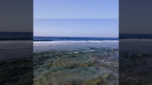 Марса-эль-Алам 2021. смотреть онлайн