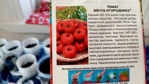 Обзор семян??? Помидор сорта "МЕЧТА ОГОРОДНИКА". Чем ПОНРАВИЛИСЬ. 9 февраля 2023г.?