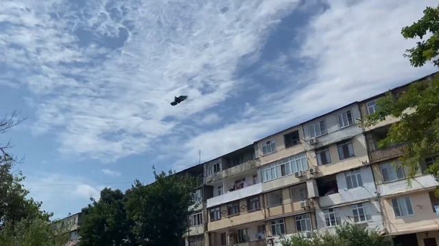 Гон голубей . 30.08.2023 #ГолубиБаку смотреть онлайн
