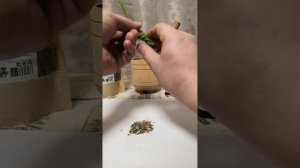 Магической свечи с травами своими руками