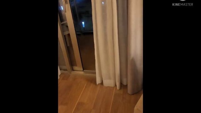 Review Hotel Helios palma mallorca #hotelreview #hotel #travel #españa #spain #viajes #estadia #fyp смотреть онлайн