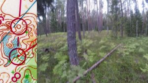 01 08 24, Видогощи, Тверь, М16, headcam orienteering