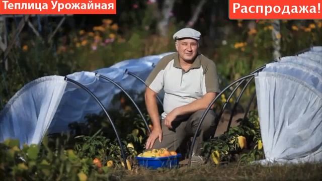 Парник смотреть онлайн