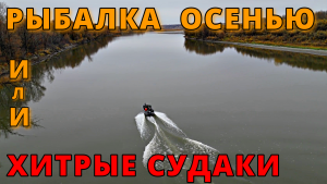 Рыбалка на волжанке 46 фиш осенью! Хитрые и злые Судаки лупили так, что даже..