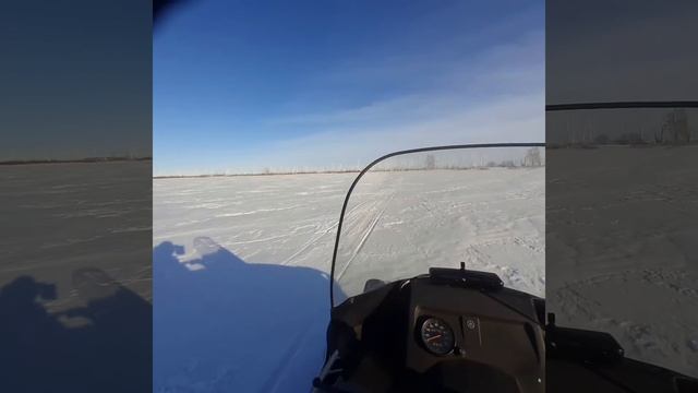 В поисках Рыбы на Лопату. смотреть онлайн