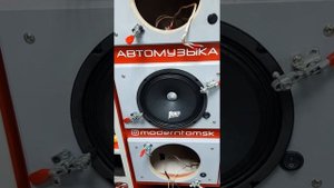 20 см эстрада AMP MASS FR 80 + прослушка