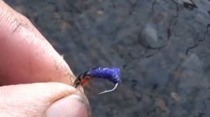 Ловля хариуса осенью в малых реках Кабибыла и Сагдзы