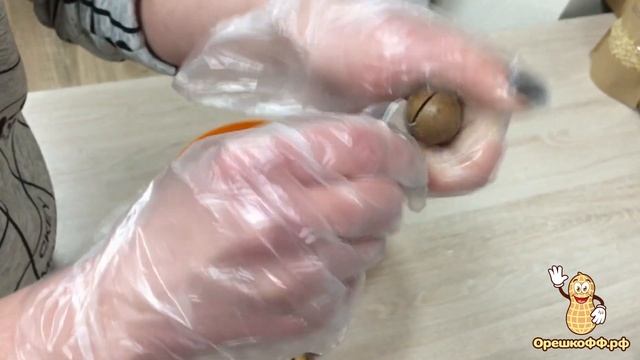 Простой способ как открыть макадамию от Орешкофф.рф смотреть онлайн