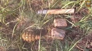 Работниками Стаханово-Алчевской межрайонной природоохранной прокуратуры обнаружен схрон