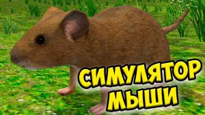 СИМУЛЯТОР МЫШИПочинила дом Ухаживаю за питомцем