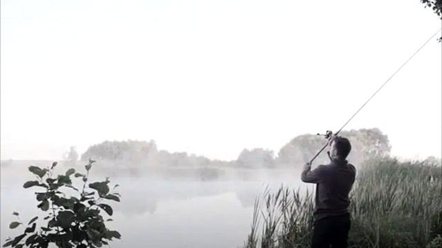 Мужчина спас медвежонка из реки, он еще не знал, что сделает с ним медведица! смотреть онлайн