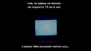 Бригаду напишут в комментах, но сразу скажу, что осы не могут летать 15 км в час