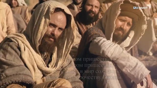 29 ноября 2020 г.(5) смотреть онлайн