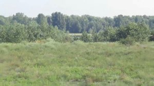 Cт. Багаевская. тВОРим, что хотим! никто нам не указ! Часть 1.