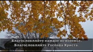 Благословляйте! Елена Ваймер