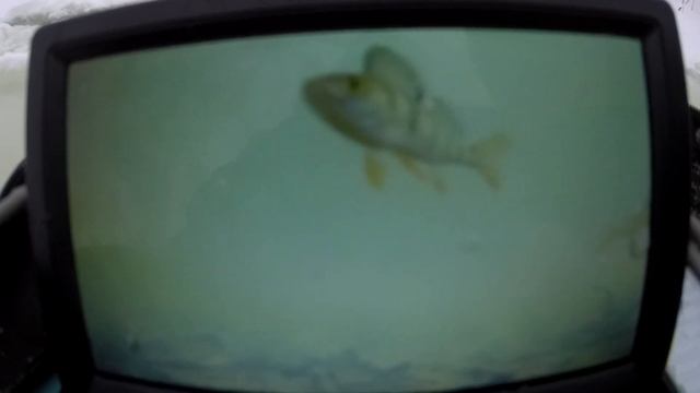 Рыбалка на реке Кудьма на карьере. смотреть онлайн