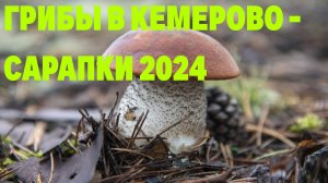 ГРИБЫ В КЕМЕРОВО САРАПКИ АВГУСТ 2024