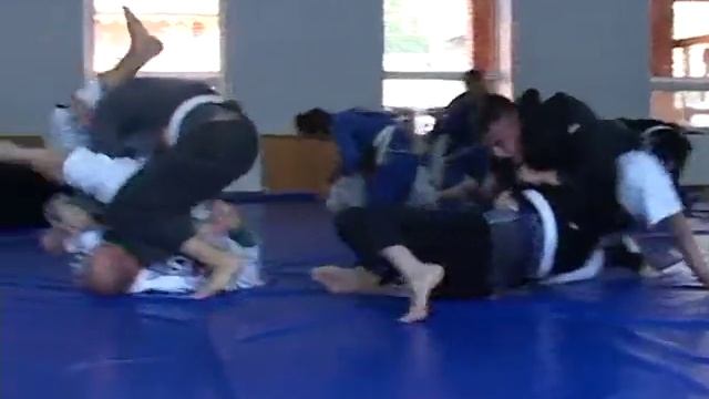 Клуб джиу-джитсу Black bee з міста Київ смотреть онлайн