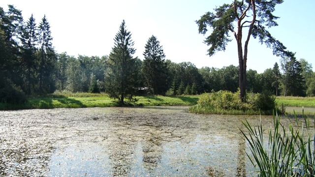 ТВЕРСКАЯ ЭКЗОТИКА: Знаменское-Раек - жемчужное ожерелье в камне смотреть онлайн