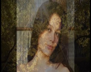 Журавли. Николай Некрасов.  ''Здесь под небом чужим''...