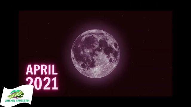 Super Pink Moon 2021 | Super Moon In Pakistan | Super Moon 2021 | Full Moon | Chand jhilmil pakista смотреть онлайн