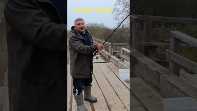 Поклевка морской красноперки #рыбалка #fishing