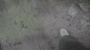 Удивляющий Большой садовый пруд(Академические пруды))