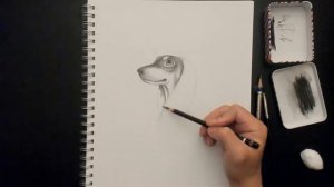 Simple Tutorial: How to Draw Wild Animal with Make-up Brushes: Saluki