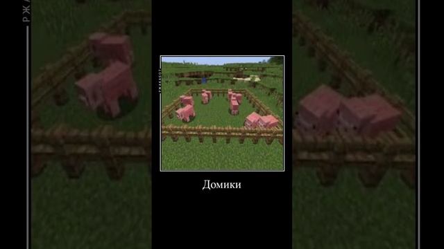 Добавьте название #мазелов #энгрибердс #птички #летят #бомбить # поросят смотреть онлайн