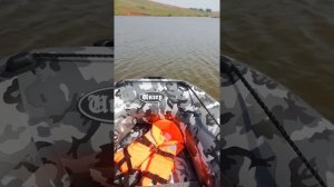 Инзер 280 нднд (пельмешек) и суща 2.5, настройка