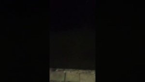 чтоб коты не гадили на двери